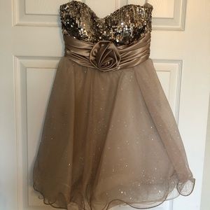 Champagne Mini Dress